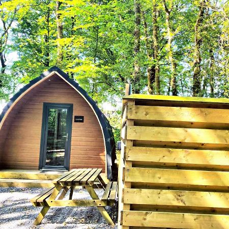 The Pod-Hot Tub-Woodland Lodges-St Clears-Carmarthen Bagian luar foto