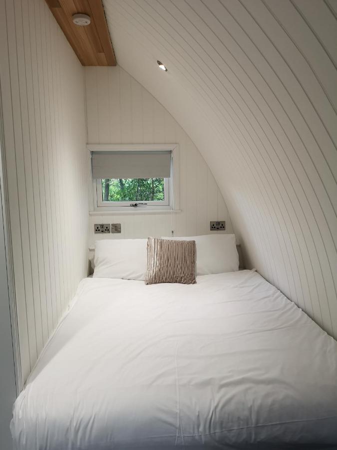 The Pod-Hot Tub-Woodland Lodges-St Clears-Carmarthen Bagian luar foto
