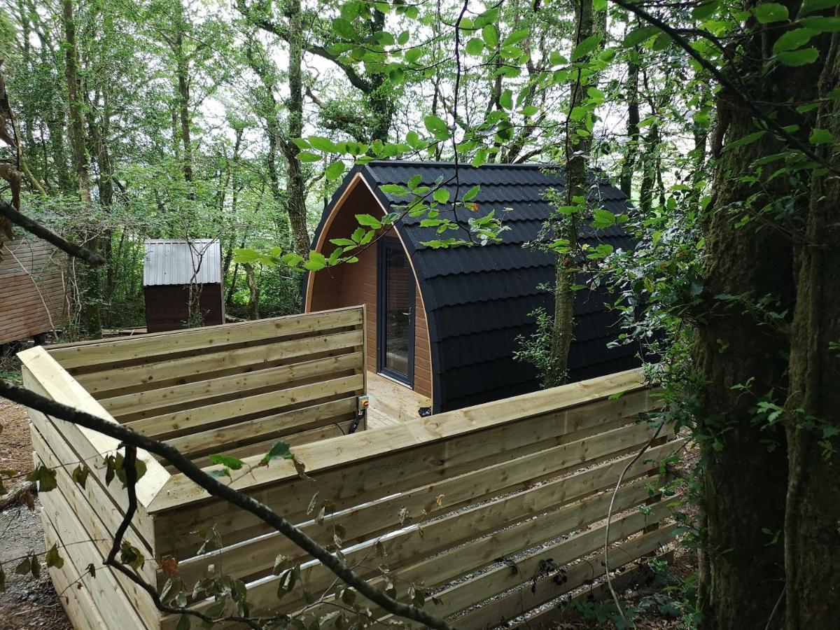 The Pod-Hot Tub-Woodland Lodges-St Clears-Carmarthen Bagian luar foto