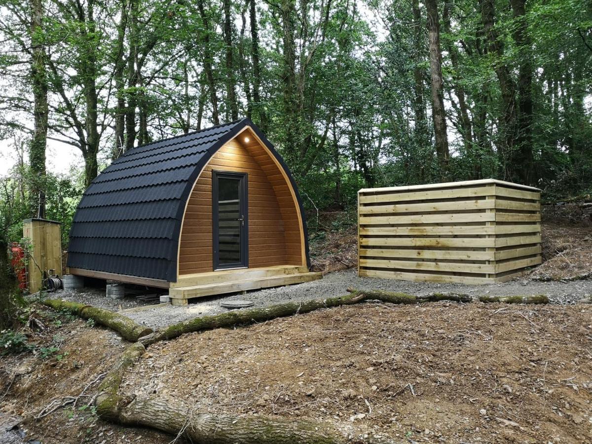 The Pod-Hot Tub-Woodland Lodges-St Clears-Carmarthen Bagian luar foto