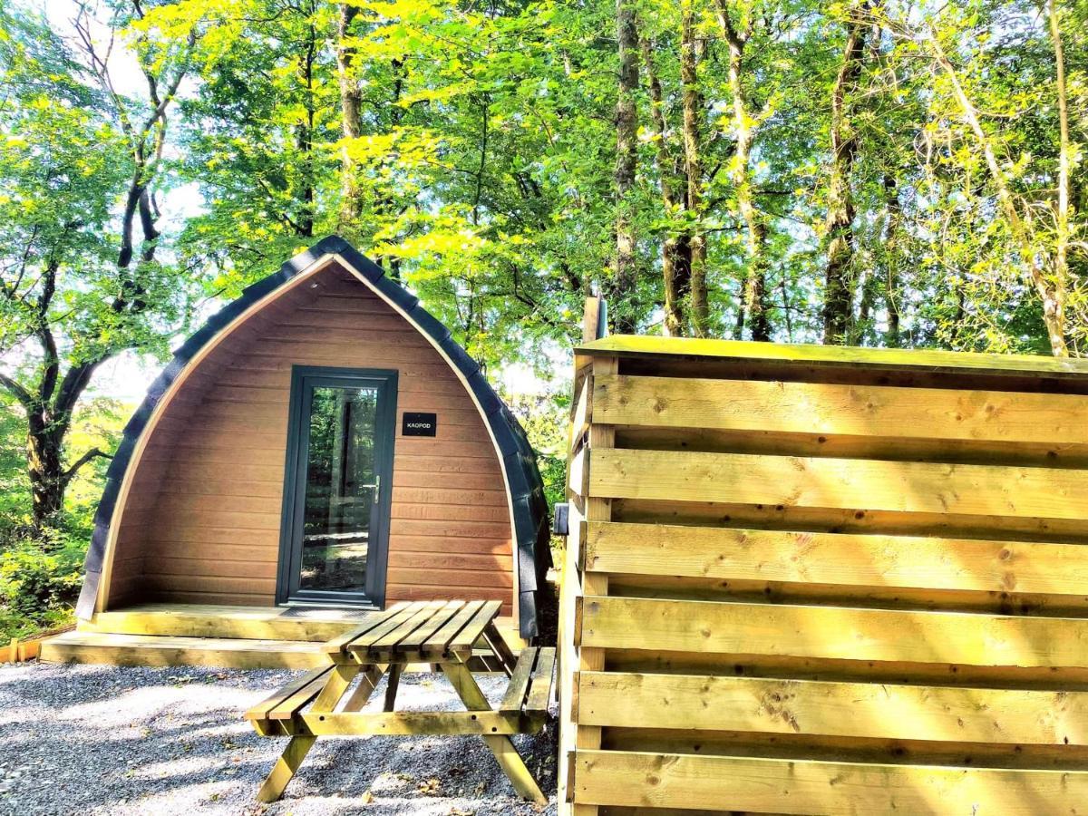 The Pod-Hot Tub-Woodland Lodges-St Clears-Carmarthen Bagian luar foto
